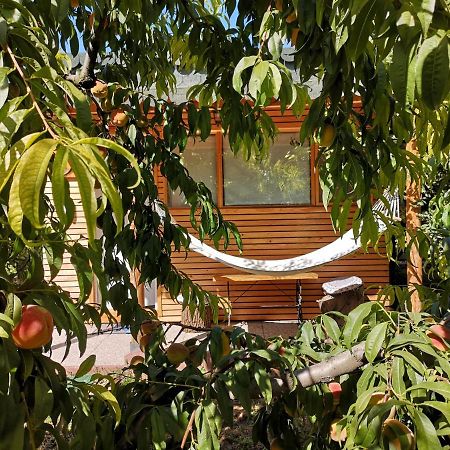 Relax Eaza - Casa Cu Hamac Villa Constanta Luaran gambar