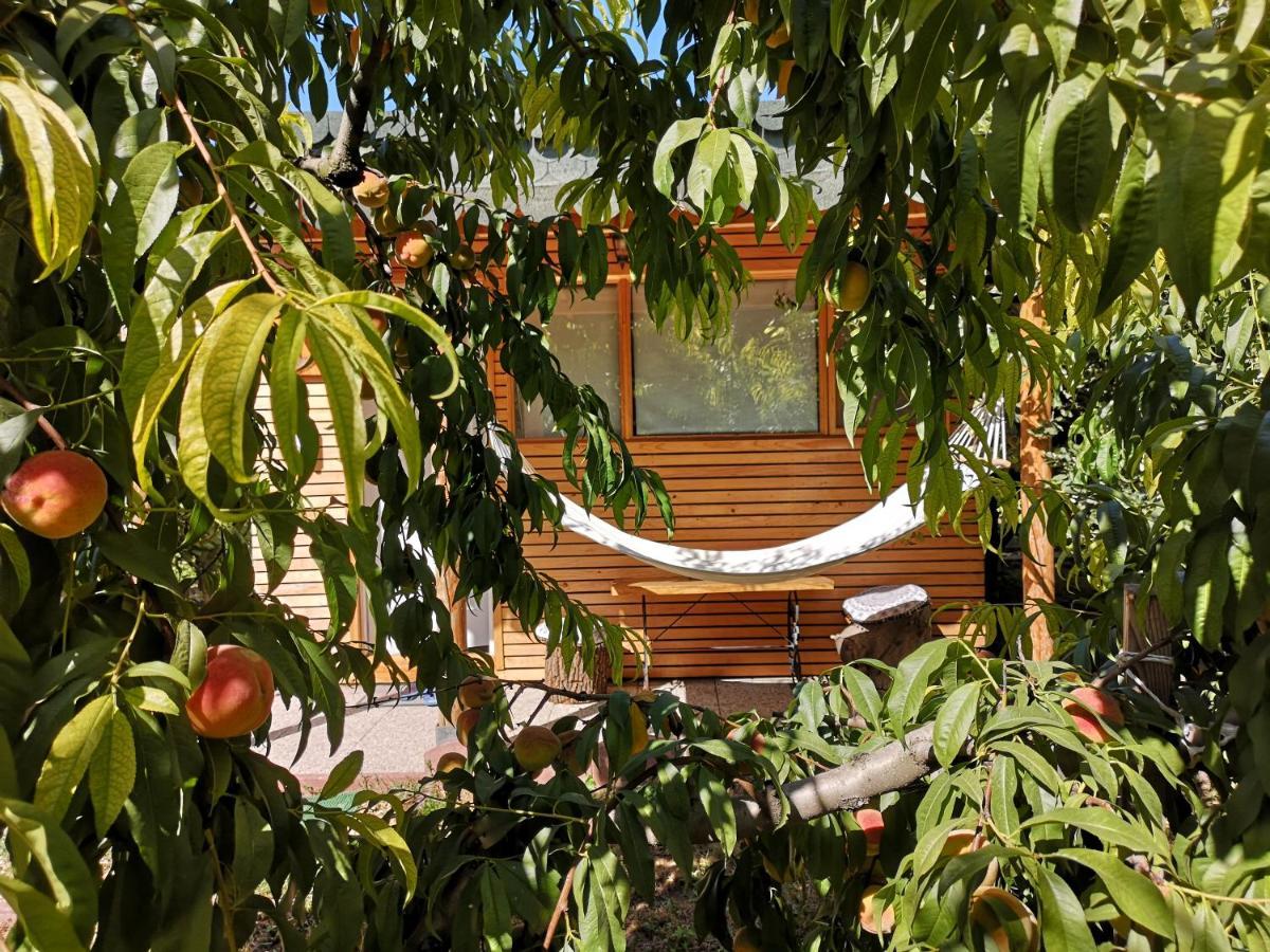Relax Eaza - Casa Cu Hamac Villa Constanta Luaran gambar