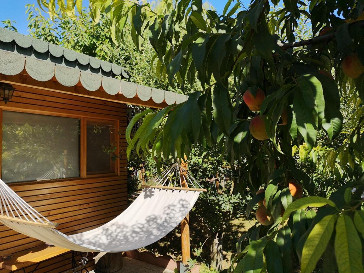 Relax Eaza - Casa Cu Hamac Villa Constanta Luaran gambar