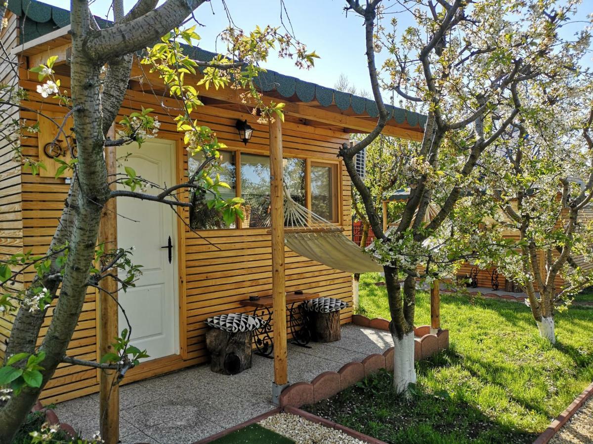Relax Eaza - Casa Cu Hamac Villa Constanta Luaran gambar